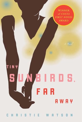 Imagen de archivo de Tiny Sunbirds, Far Away: A Novel a la venta por Gulf Coast Books