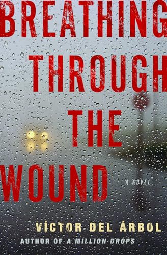 Imagen de archivo de Breathing Through the Wound: A Novel a la venta por Wonder Book