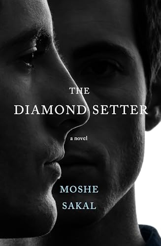 Stock image for The Diamond Setter: A Novel for sale by SecondSale