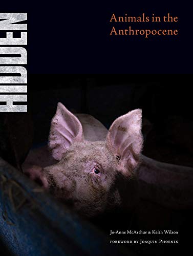 9781590566381: Hidden: Animals in the Anthropocene