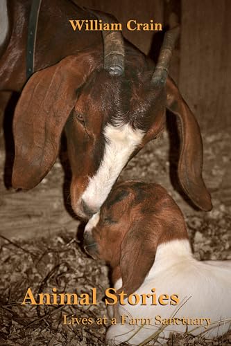 Beispielbild fr Animal Stories: Lives at a Farm Sanctuary zum Verkauf von Books From California