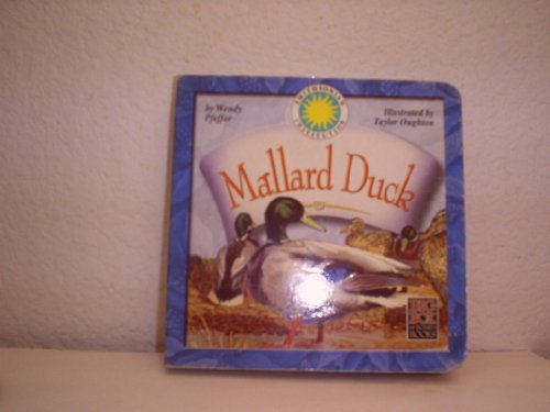 Mallard Duck (Big Box of board books) (9781590691878) by Wendy Pfeffer