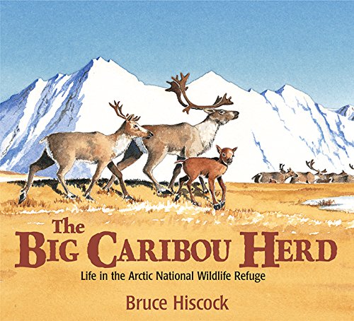 Beispielbild fr The Big Caribou Herd : Life in the Arctic National Wildlife Refuge zum Verkauf von Better World Books
