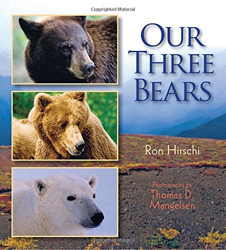 Imagen de archivo de Our Three Bears a la venta por Better World Books