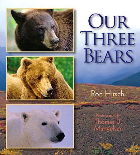 Stock image for Our Three Bears for sale by Better World Books