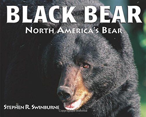 Beispielbild fr Black Bear : North America's Bear zum Verkauf von Better World Books: West