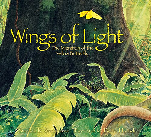 9781590780824: Wings of Light: The Migration of the Yellow Butterfly