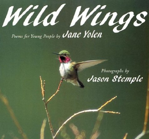 Beispielbild fr Wild Wings zum Verkauf von Wonder Book