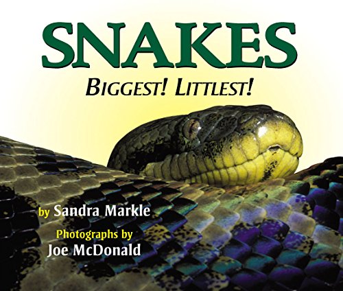 Beispielbild fr Snakes: Biggest! Littlest! zum Verkauf von AwesomeBooks