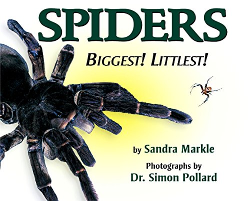 Stock image for Spiders: Biggest! Littlest! for sale by Adagio Books