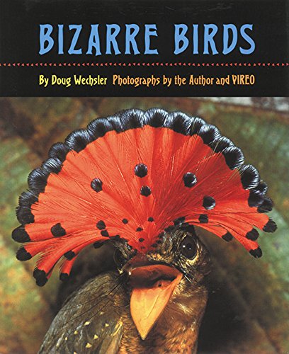 9781590782774: Bizarre Birds