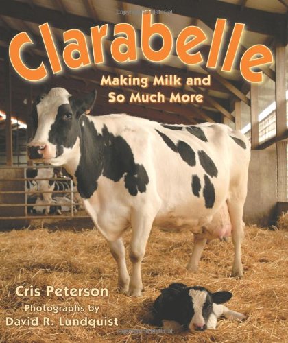 Beispielbild fr Clarabelle : Making Milk and So Much More zum Verkauf von Better World Books