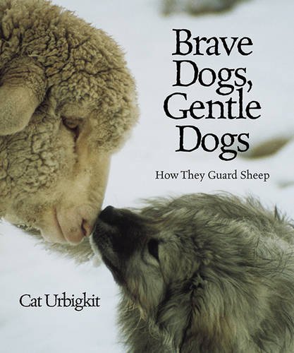 Stock image for Brave Dogs, Gentle Dogs : How They Guard Sheep for sale by Better World Books