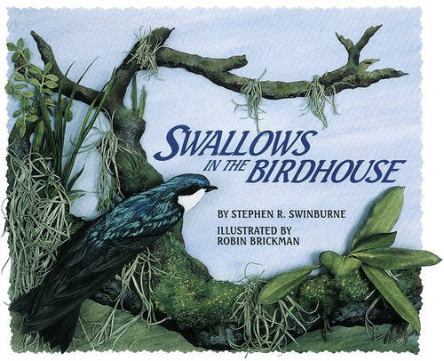 Imagen de archivo de Swallows in the Birdhouse a la venta por Wonder Book