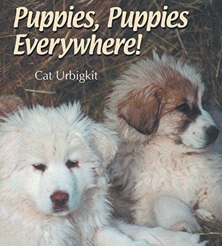 Stock image for Puppies, Puppies Everywhere! for sale by Better World Books: West