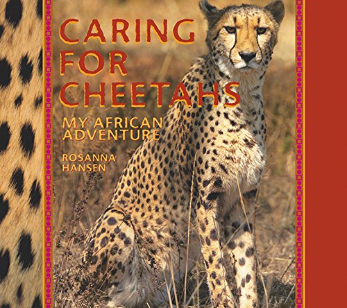 Beispielbild fr Caring for Cheetahs : My African Adventure zum Verkauf von Better World Books