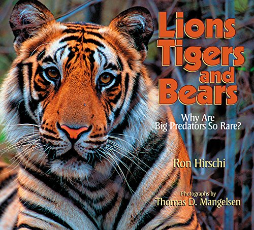 Beispielbild fr Lions, Tigers, and Bears: Why Are Big Predators So Rare? (Lion, Tigers and Bears) zum Verkauf von Basement Seller 101