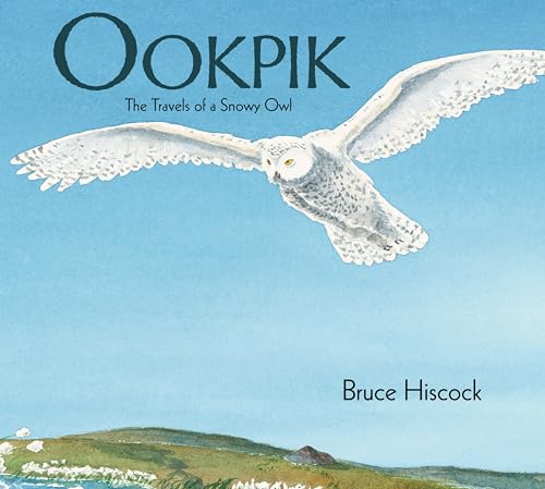 Beispielbild fr Ookpik : The Travels of a Snowy Owl zum Verkauf von Better World Books