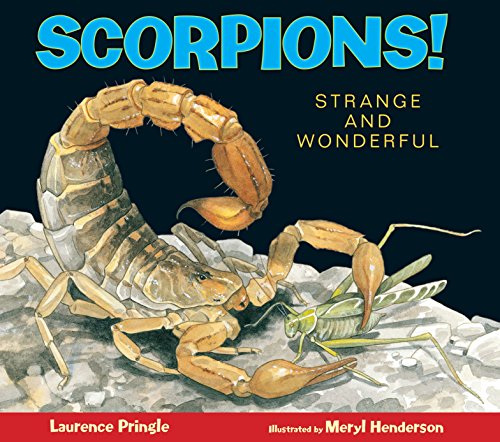 Beispielbild fr Scorpions! : Strange and Wonderful zum Verkauf von Better World Books