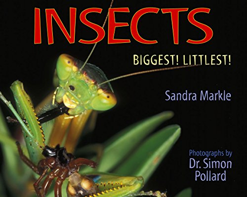 Beispielbild fr Insects : Biggest! Littlest! zum Verkauf von Better World Books