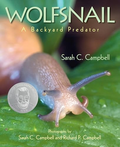 Stock image for Wolfsnail : A Backyard Predator for sale by Better World Books: West