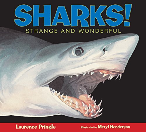 9781590785713: Sharks: Strange and Wonderful