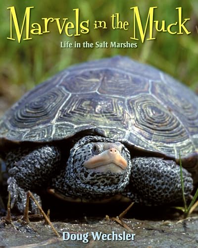 Imagen de archivo de Marvels in the Muck : Life in the Salt Marshes a la venta por Better World Books: West