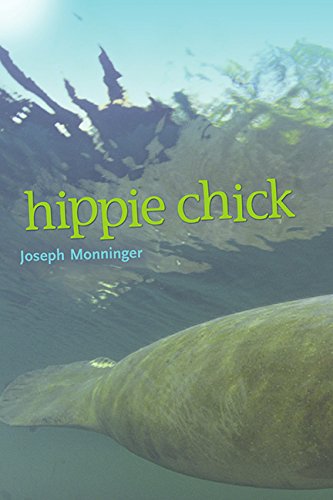 Beispielbild fr Hippie Chick zum Verkauf von Better World Books