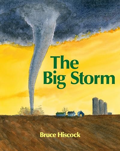 Stock image for The Big Storm for sale by HPB Inc.