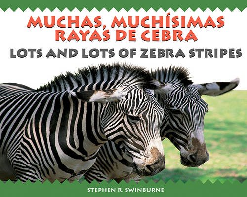 Stock image for Muchas, Muchisimas Rayas de Cebra : Lots and Lots of Zebra Stripes for sale by Better World Books