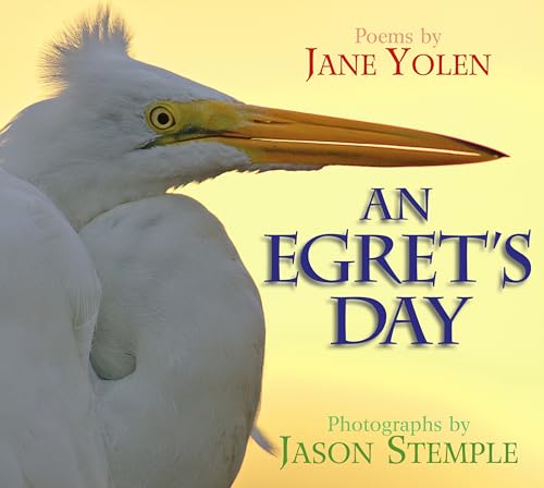 Beispielbild fr An Egret's Day zum Verkauf von SecondSale