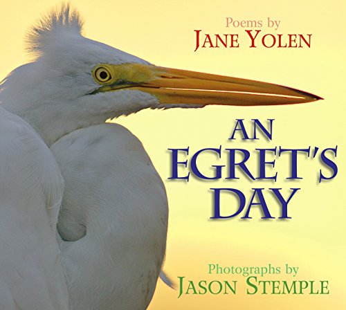 Stock image for An Egret's Day for sale by SecondSale