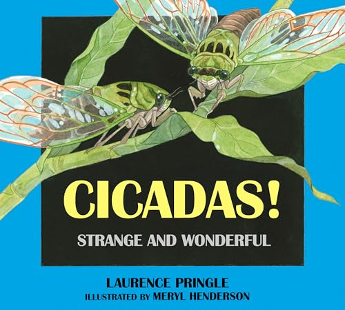 Beispielbild fr Cicadas! : Strange and Wonderful zum Verkauf von Better World Books