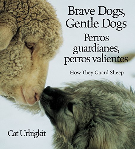 Imagen de archivo de Brave Dogs, Gentle Dogs/Perros Guardianes, Perros Valientes: How They Guard Sheep/Como Pastorean Las Ovejas a la venta por ThriftBooks-Dallas