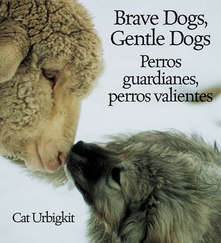 Stock image for Brave Dogs, Gentle Dogs/Perros Guardianes, Perros Valientes: How They Guard Sheep/Como Pastorean Las Overjas for sale by Ergodebooks