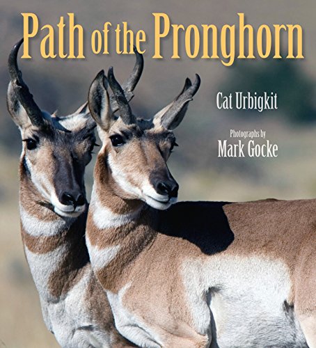 Beispielbild fr The Path of the Pronghorn zum Verkauf von Better World Books