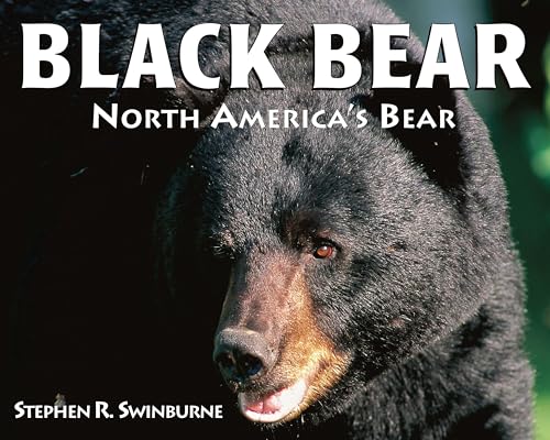 Beispielbild fr Black Bear : North America's Bear zum Verkauf von Better World Books