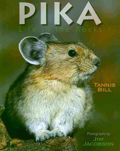 9781590788035: Pika: Life in the Rocks