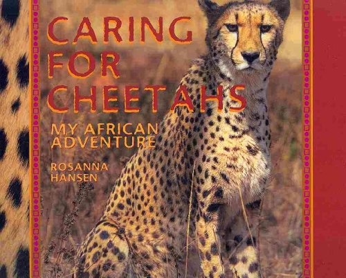 Beispielbild fr Caring for Cheetahs : My African Adventure zum Verkauf von Better World Books