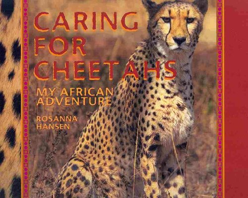 Stock image for Caring for Cheetahs: My African Adventure for sale by Irish Booksellers