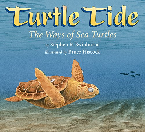 Beispielbild fr Turtle Tide: The Ways of Sea Turtles zum Verkauf von SecondSale