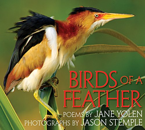 Stock image for Birds of a Feather for sale by Revaluation Books