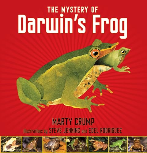 Beispielbild fr The Mystery of Darwin's Frog zum Verkauf von SecondSale