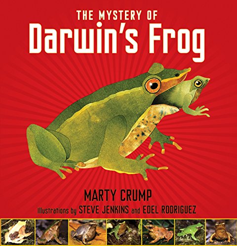 Stock image for The Mystery of Darwin's Frog for sale by SecondSale
