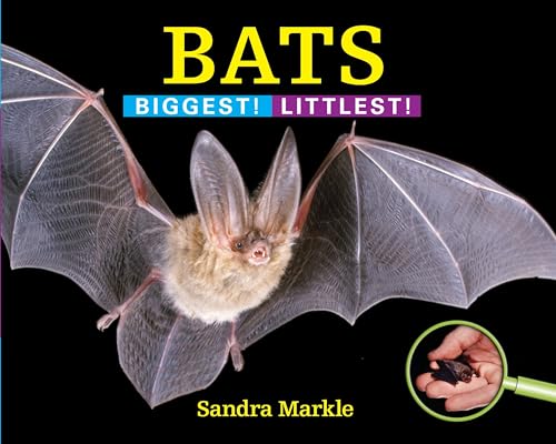 Stock image for Bats: Biggest! Littlest! for sale by BooksRun