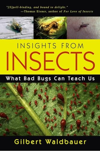 Stock image for Insights From Insects: What Bad Bugs Can Teach Us for sale by Your Online Bookstore