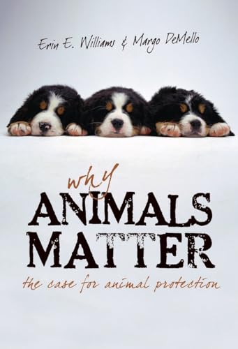 Stock image for Why Animals Matter : The Case for Animal Protection for sale by Better World Books