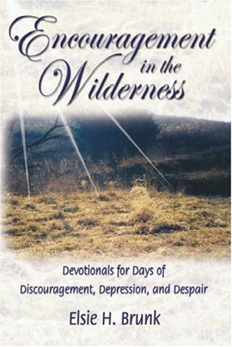 Stock image for Encouragement in the Wilderness: Devotionals for Days of Discouragement, Depression, and Despair for sale by ZBK Books