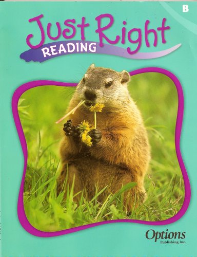Stock image for Just Right Reading Workbook, Grade 2 / Level B for sale by Better World Books