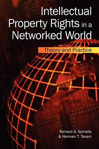Stock image for Intellectual Property Rights In A Networked World. Theory And Practice for sale by Basi6 International